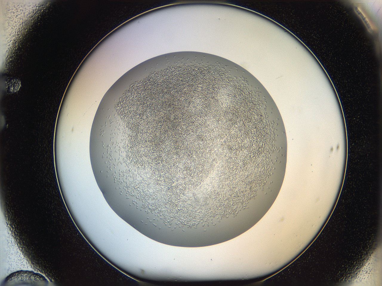 05v5_F10_ImagerDefaults_6.jpg