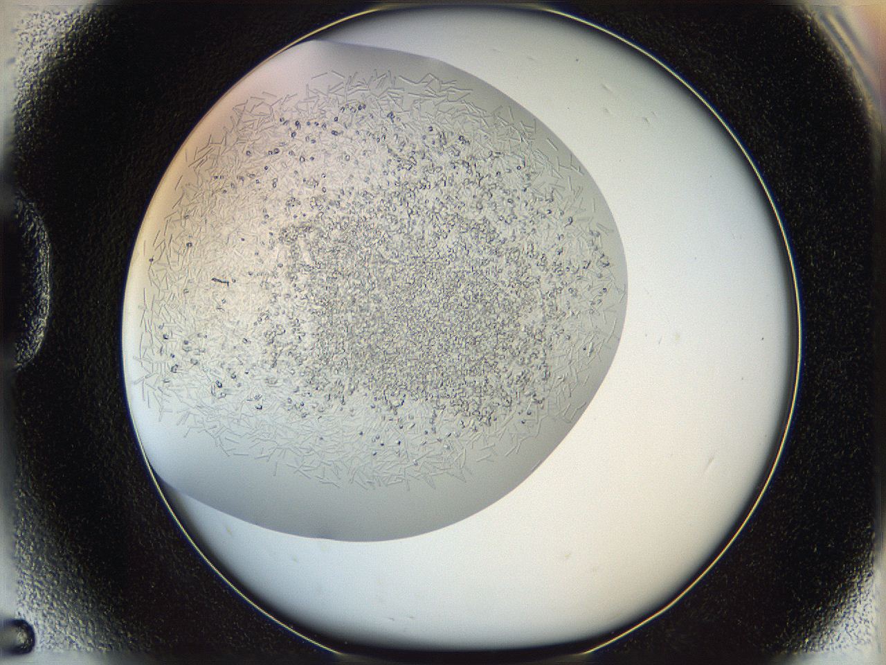 05v6_D5_ImagerDefaults_8.jpg