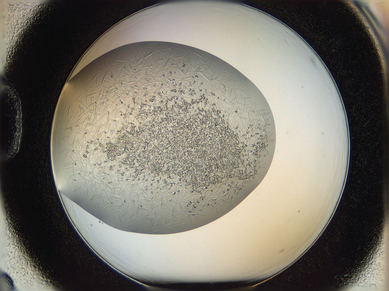 05v6_D3_ImagerDefaults_8.jpg