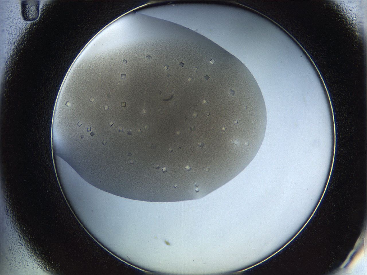 05v6_C11_ImagerDefaults_9.jpg