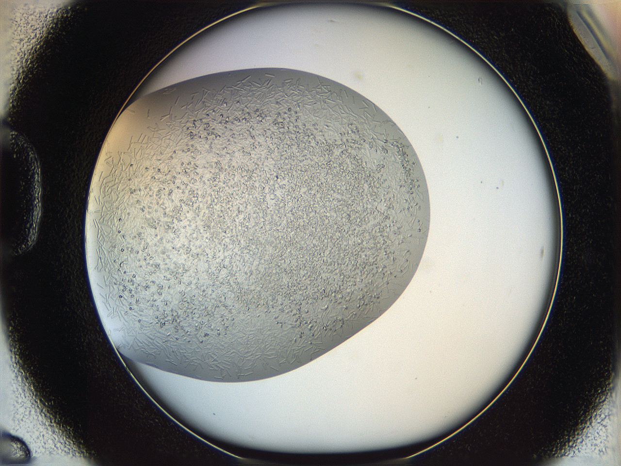 05v6_D6_ImagerDefaults_7.jpg
