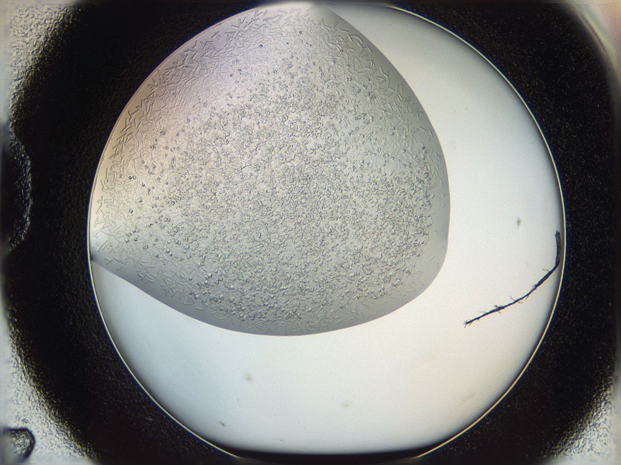 05v6_D7_ImagerDefaults_7.jpg