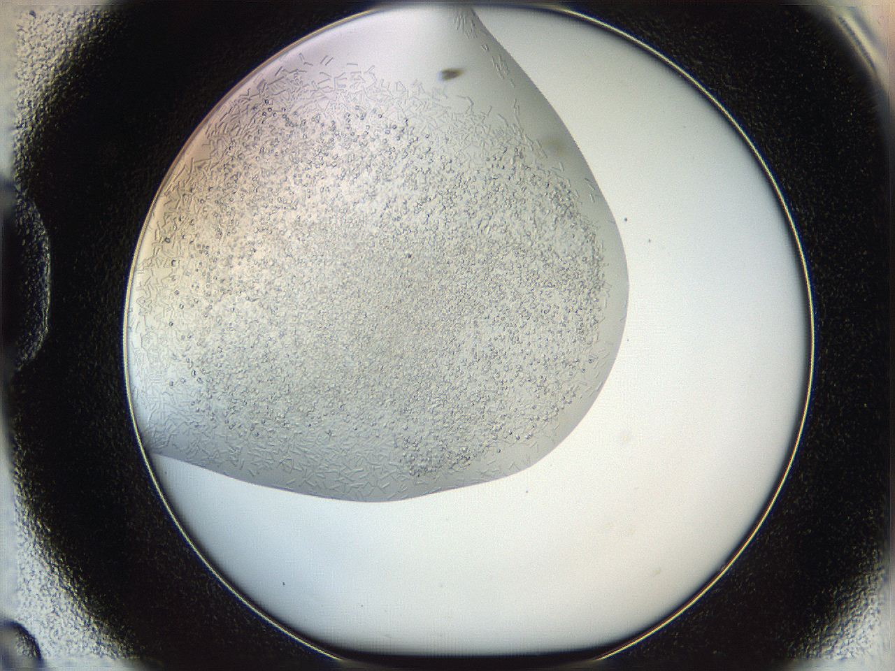 05v6_D8_ImagerDefaults_7.jpg