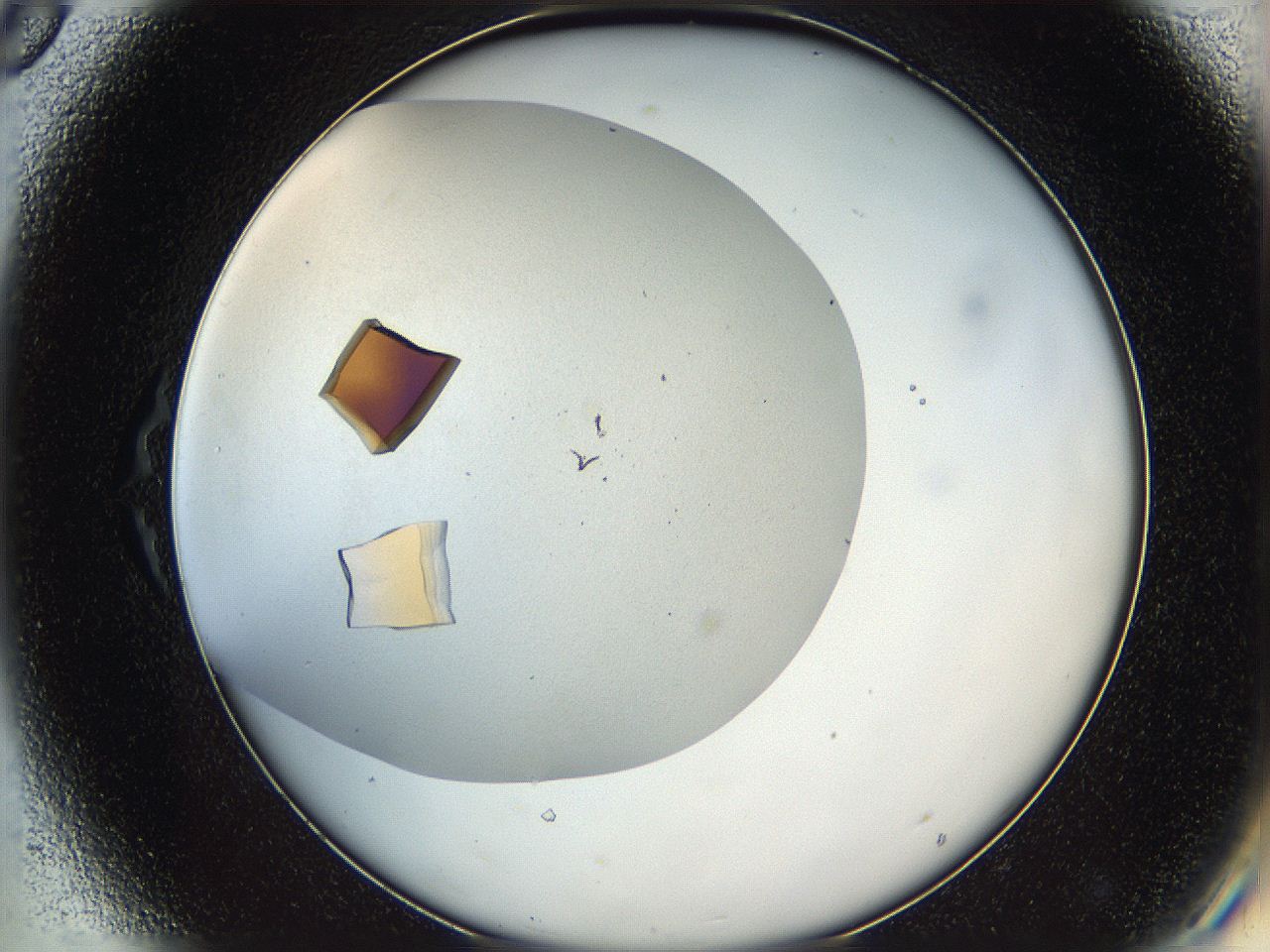 05v6_D8_ImagerDefaults_9.jpg