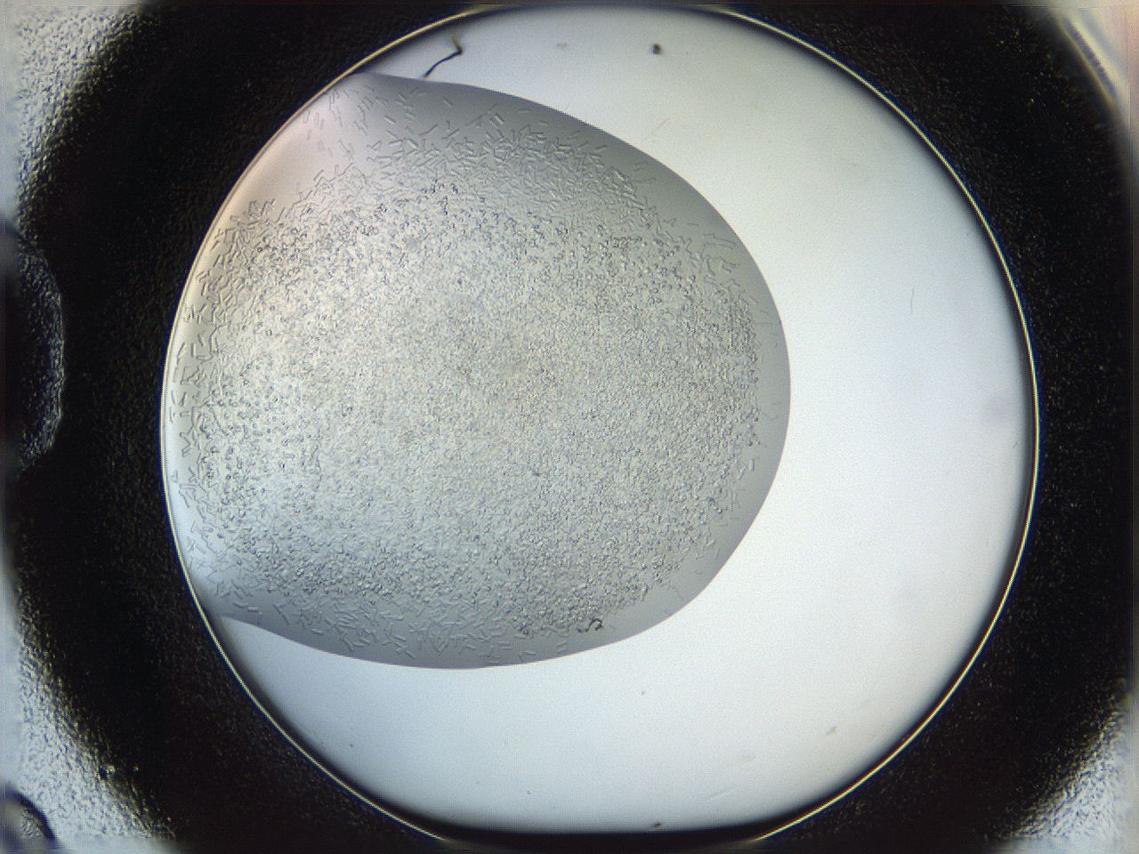 05v6_D9_ImagerDefaults_8.jpg