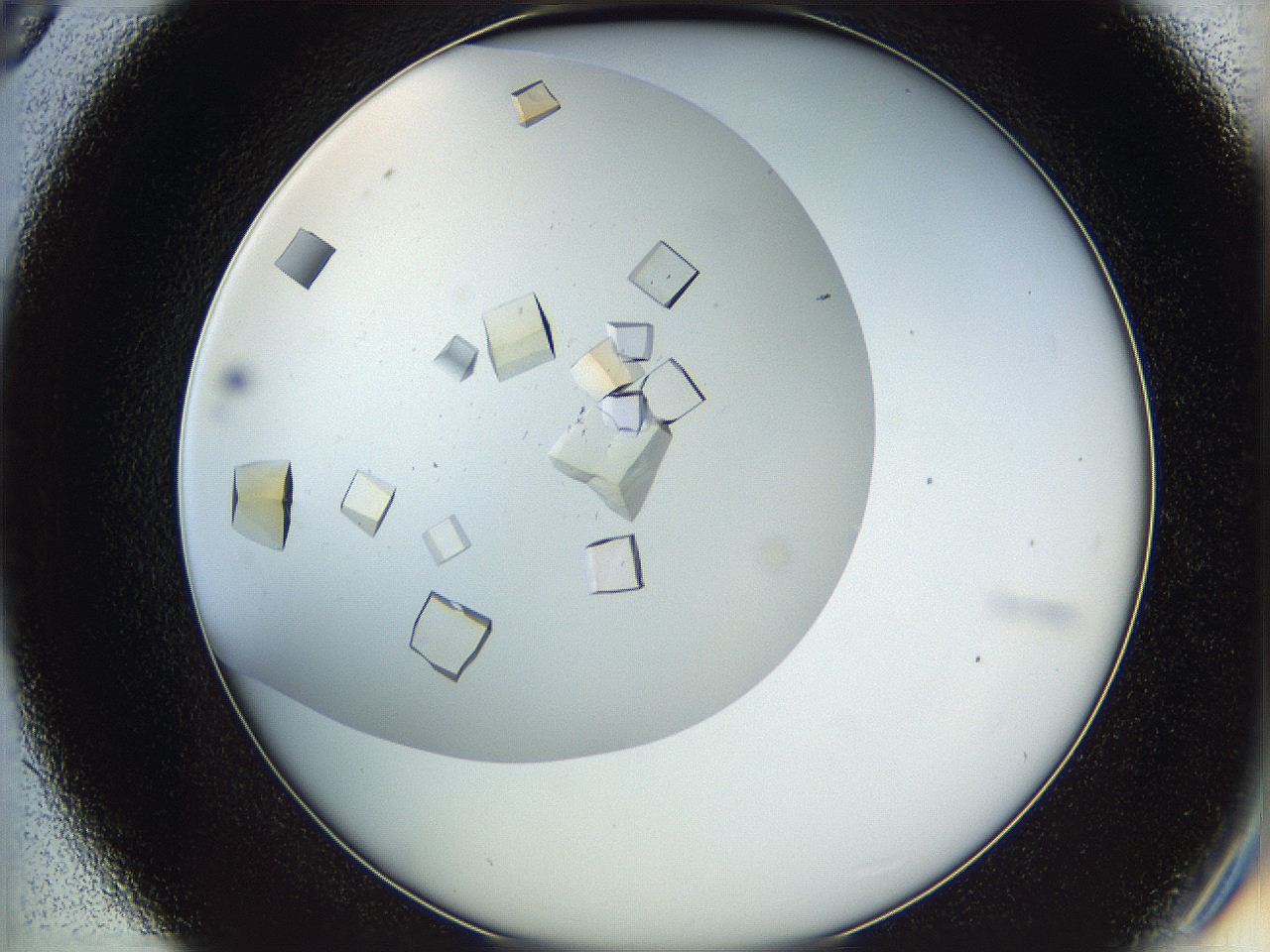 05v6_D9_ImagerDefaults_9.jpg