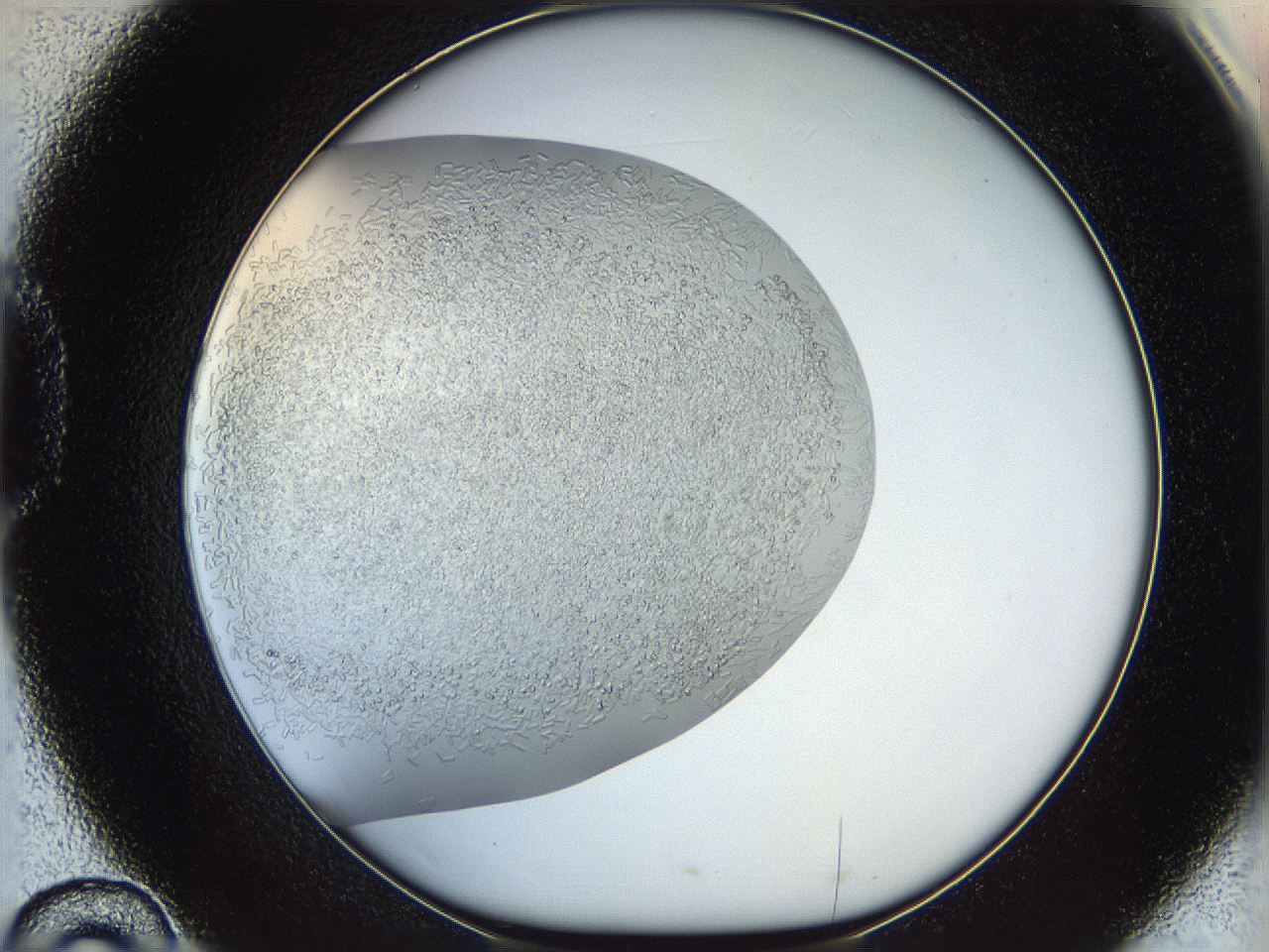 05v6_D10_ImagerDefaults_6.jpg