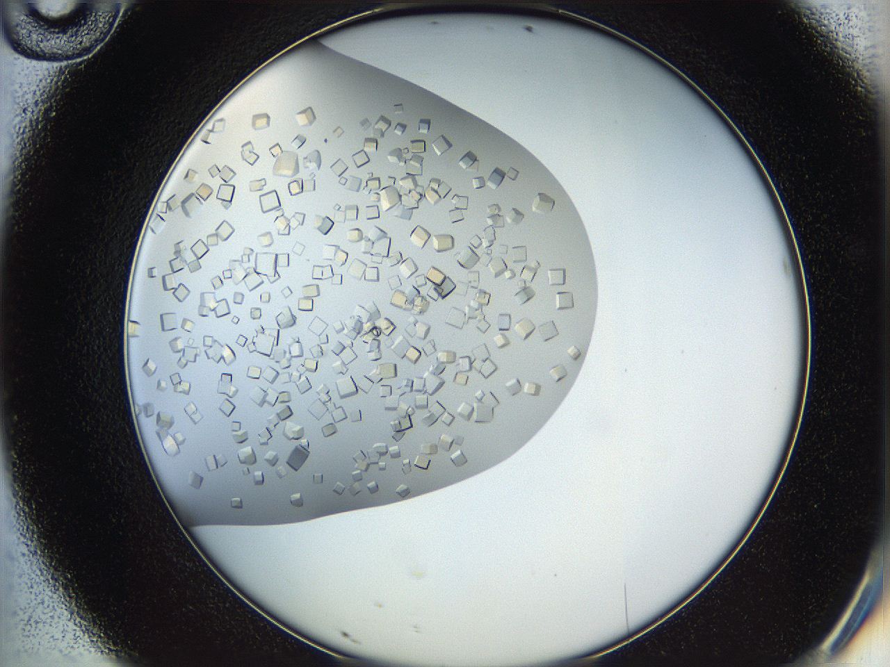 05v6_D10_ImagerDefaults_9.jpg