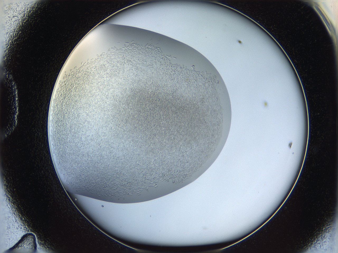 05v6_D11_ImagerDefaults_6.jpg