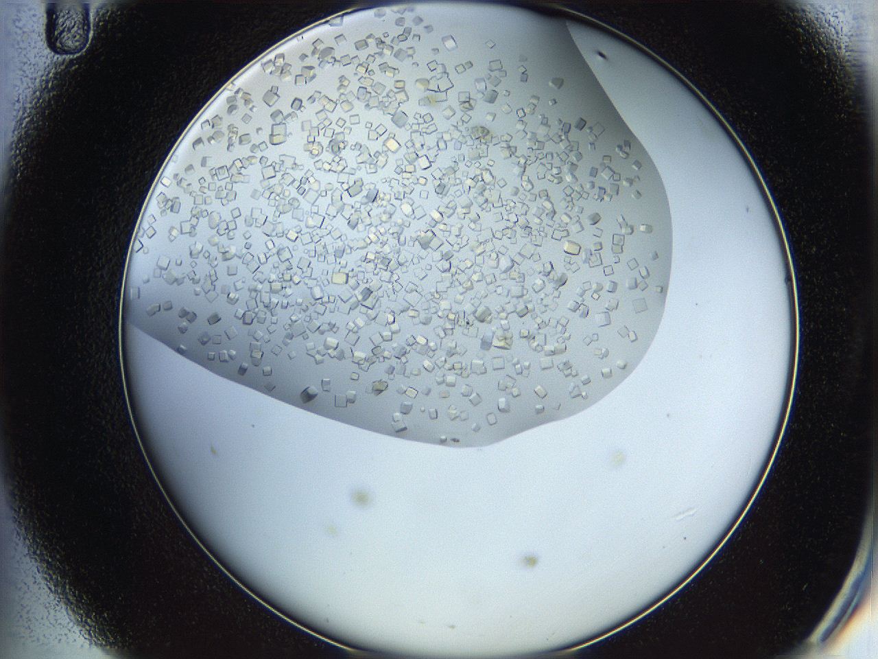 05v6_D11_ImagerDefaults_9.jpg