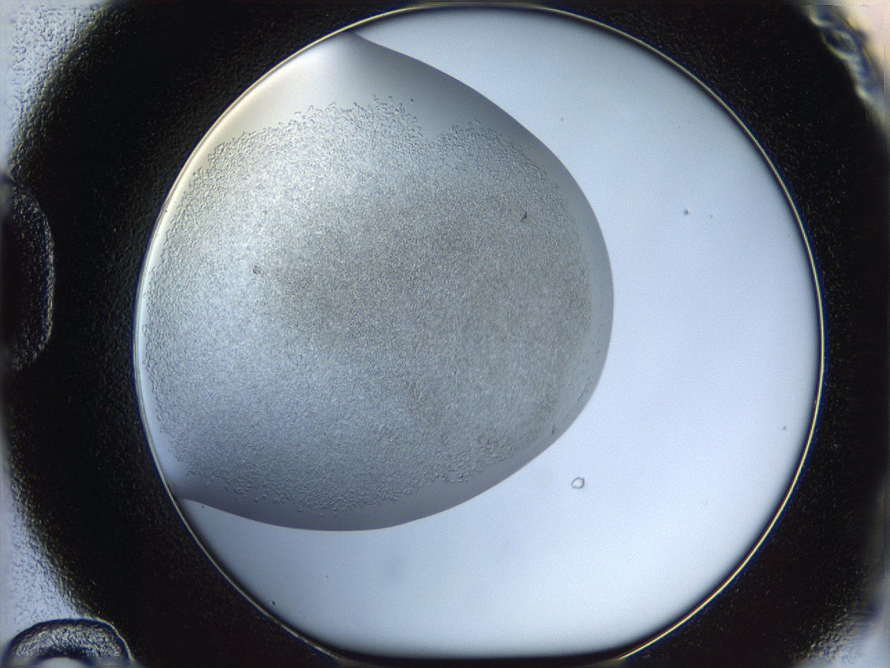 05v6_D12_ImagerDefaults_6.jpg