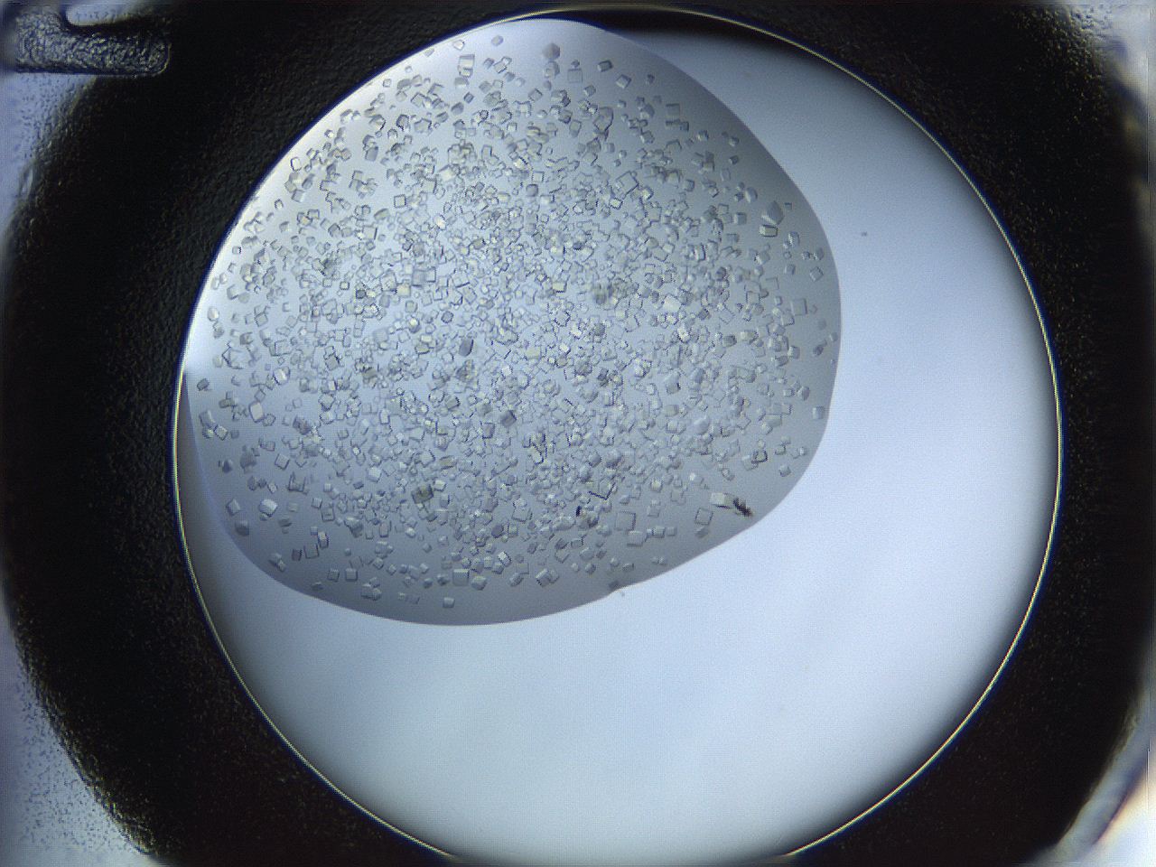 05v6_D12_ImagerDefaults_9.jpg