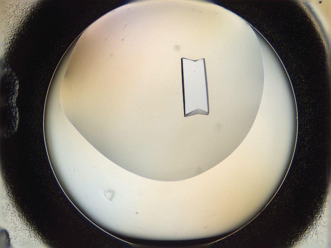 05v6_B4_ImagerDefaults_9.jpg