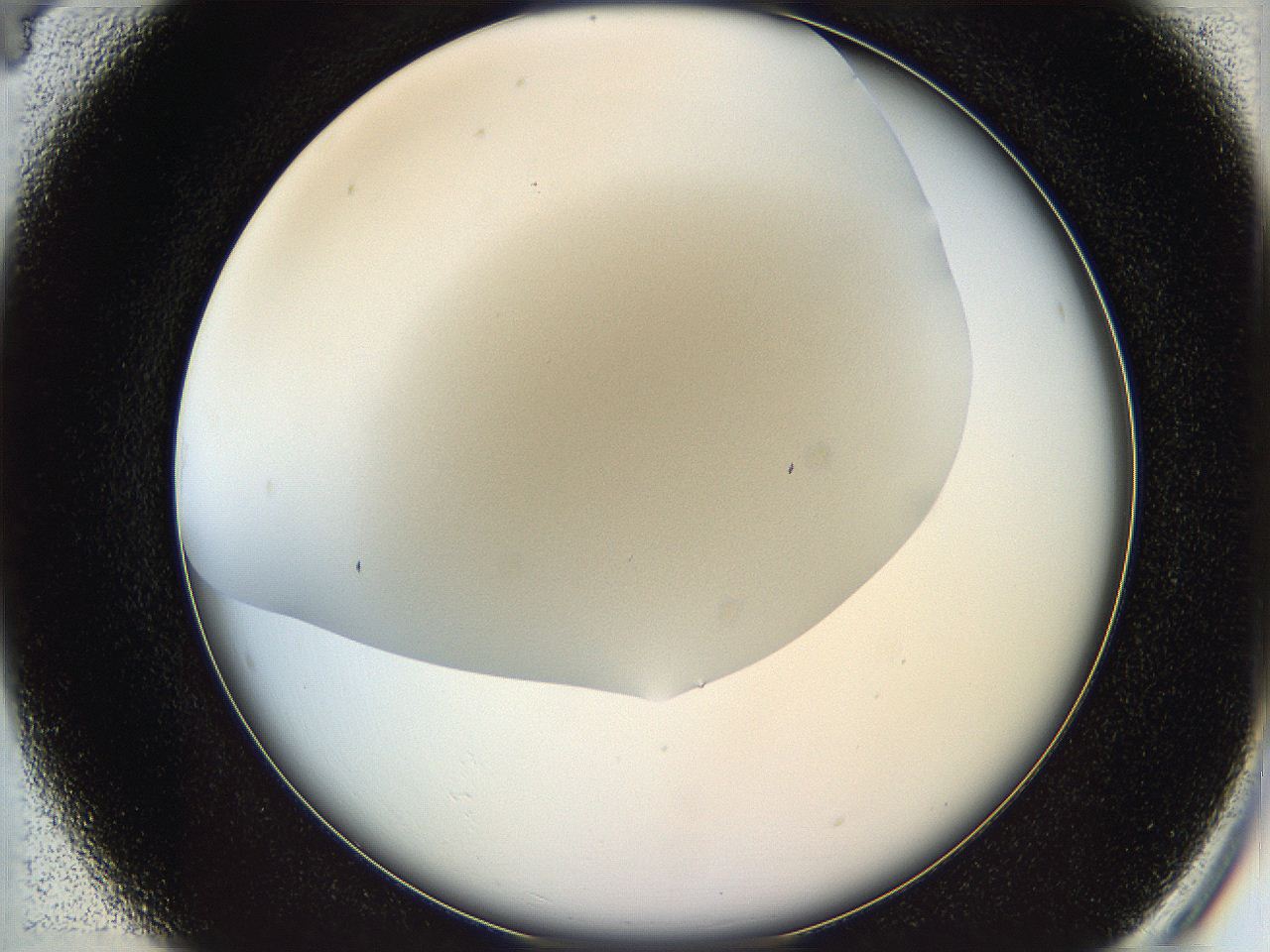 05v6_B4_ImagerDefaults_0.jpg