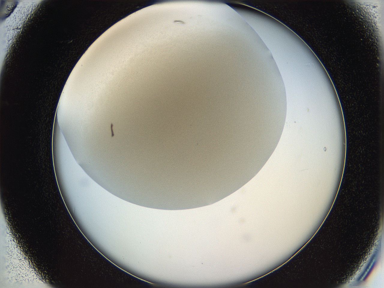 05v6_B5_ImagerDefaults_2.jpg