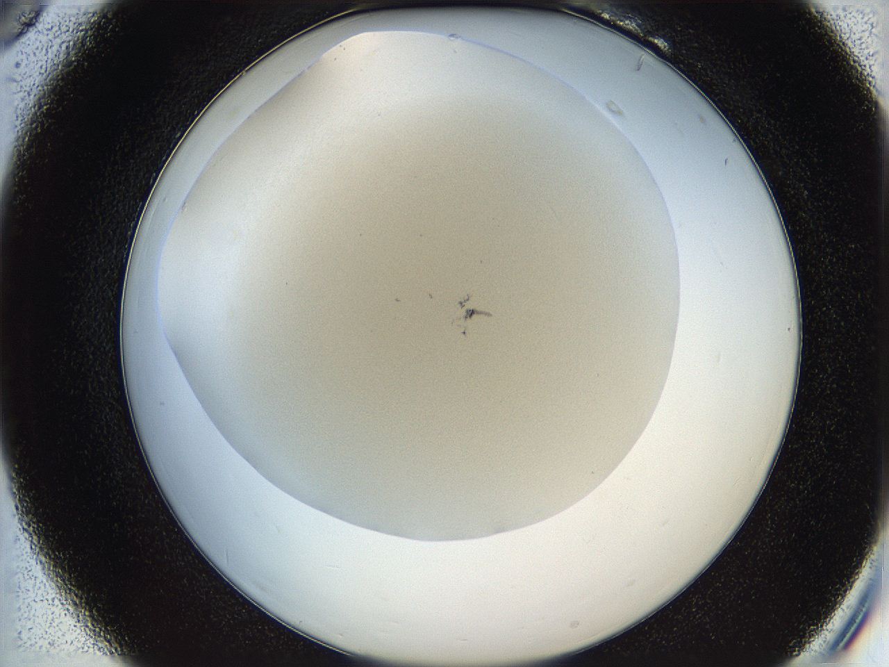 05v6_B6_ImagerDefaults_2.jpg