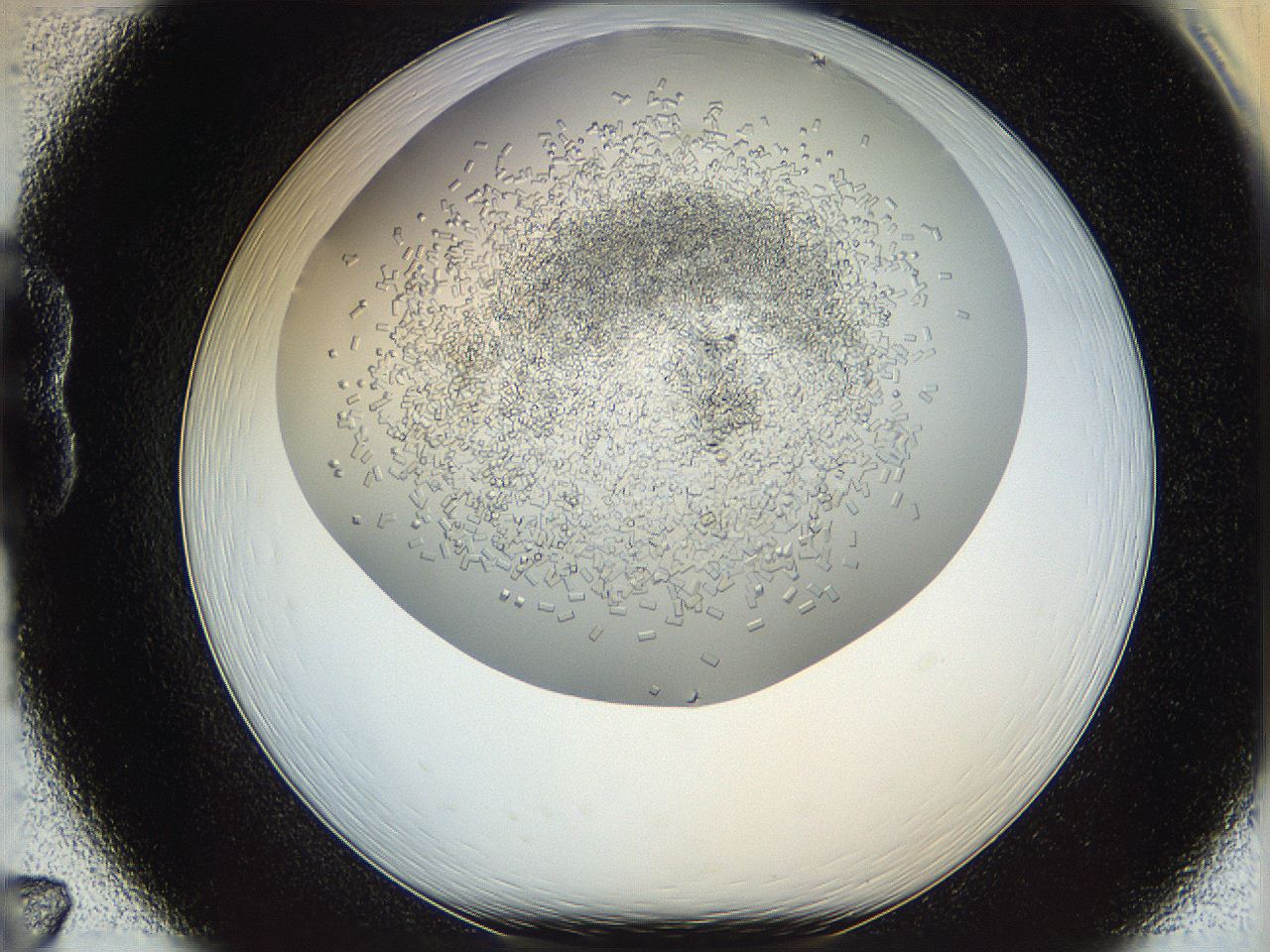 05v6_B7_ImagerDefaults_8.jpg