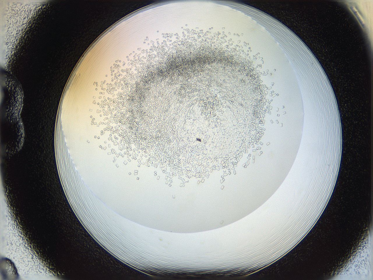 05v6_B8_ImagerDefaults_8.jpg