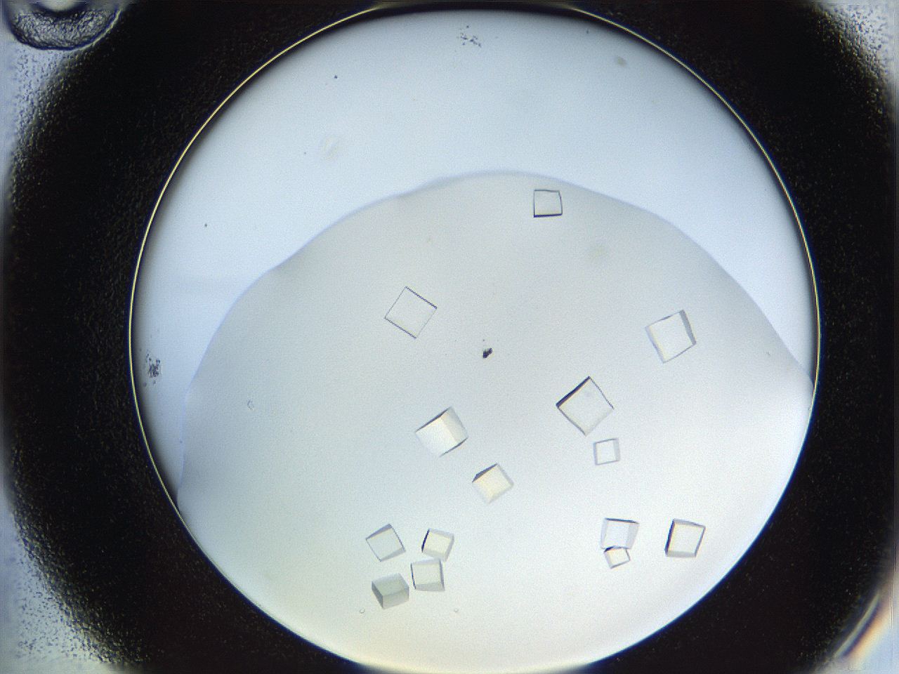 05v6_B10_ImagerDefaults_9.jpg