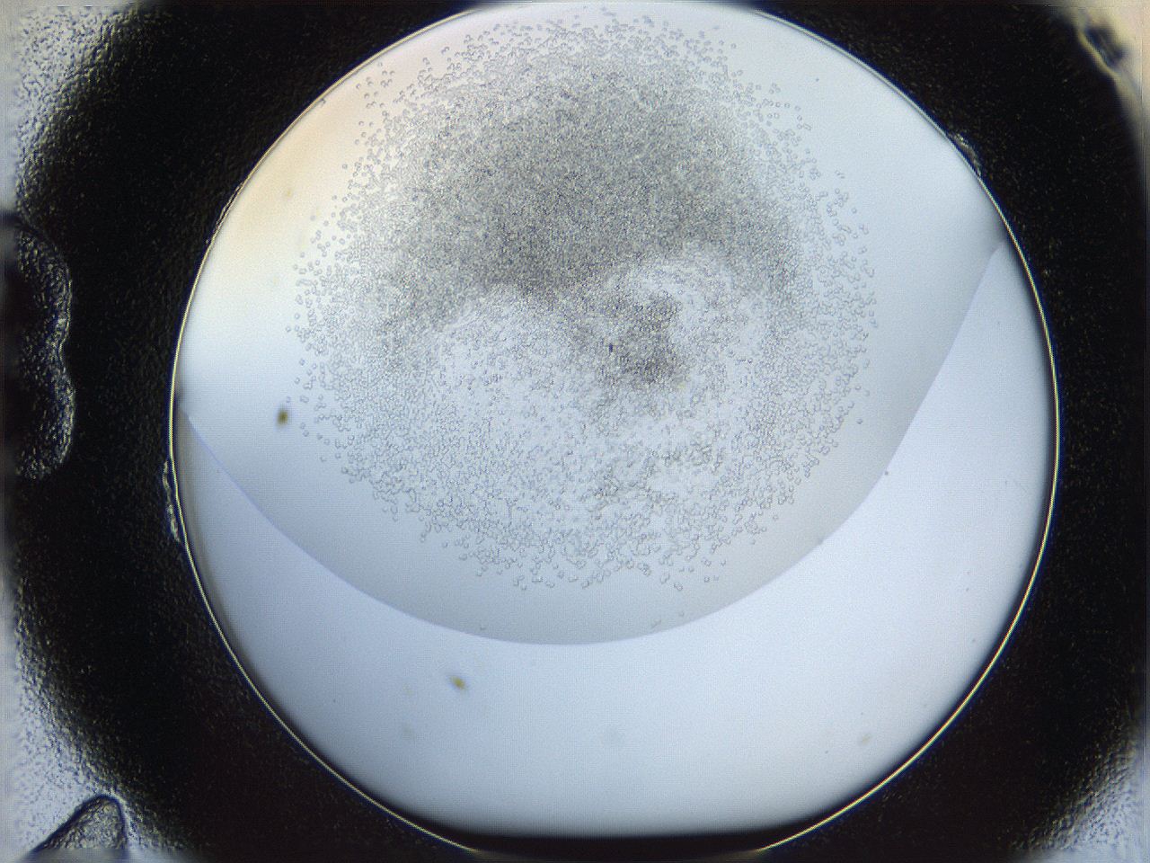 05v6_B11_ImagerDefaults_6.jpg