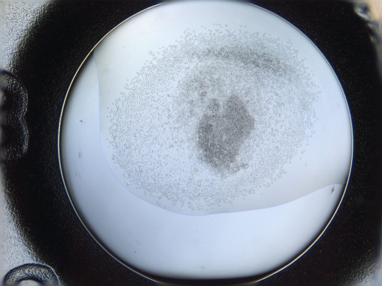 05v6_B12_ImagerDefaults_6.jpg