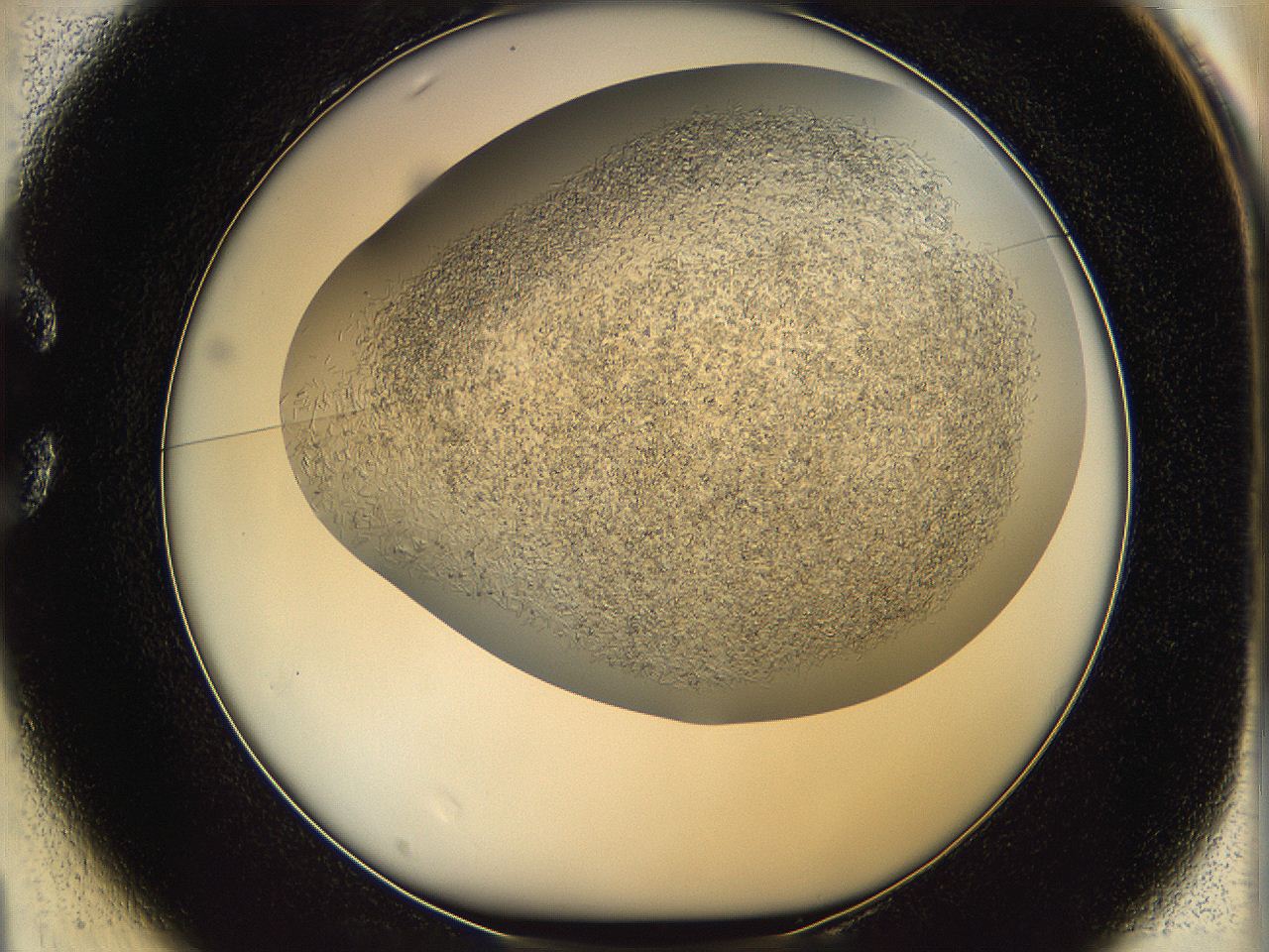 05v6_C1_ImagerDefaults_8.jpg