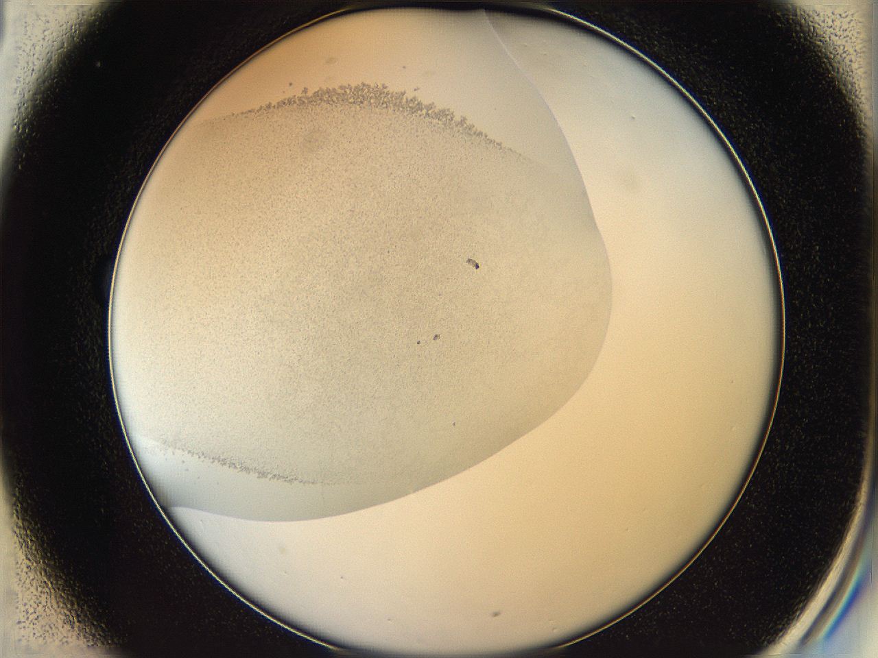 05v6_C1_ImagerDefaults_0.jpg