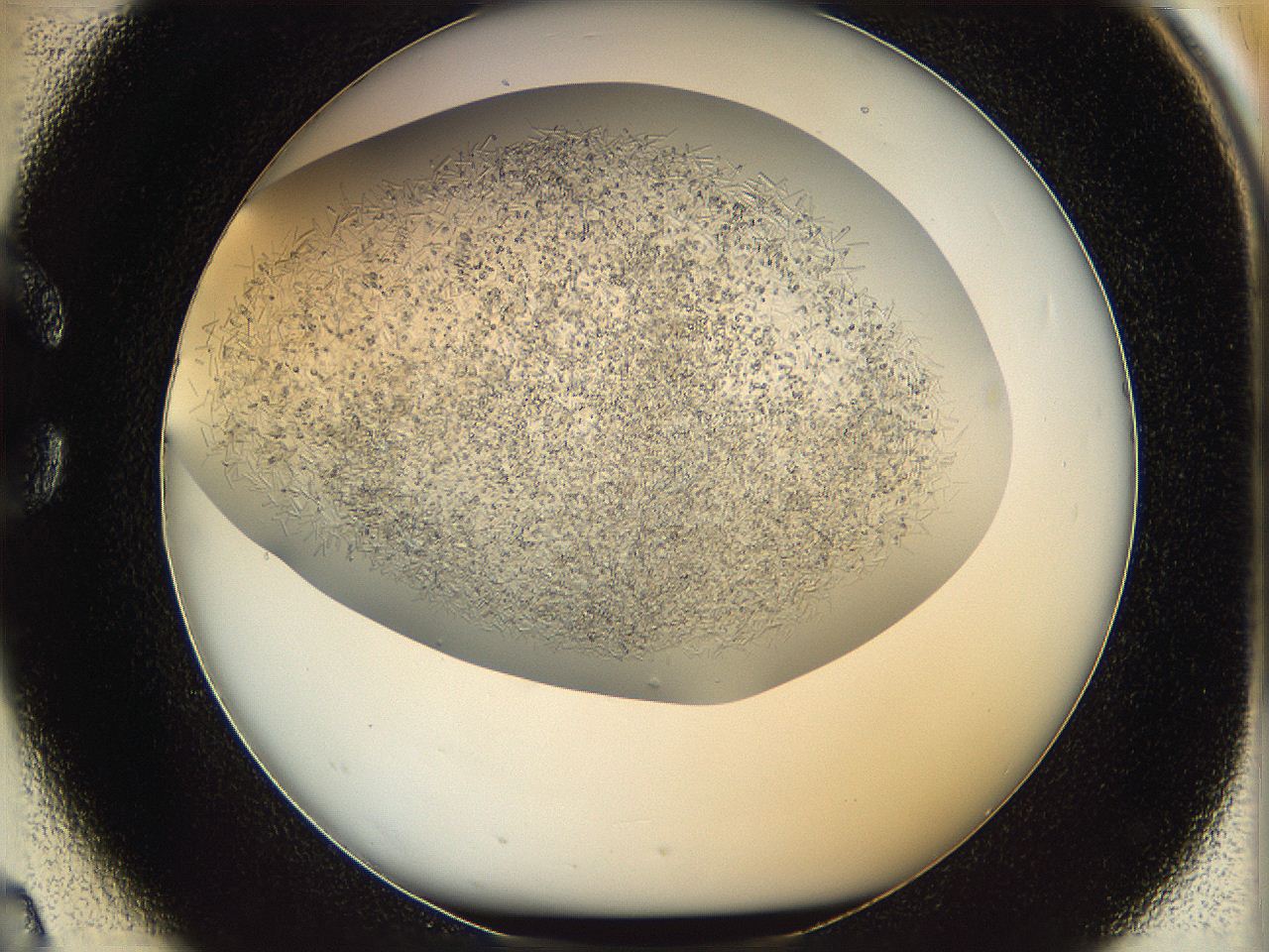 05v6_C2_ImagerDefaults_7.jpg