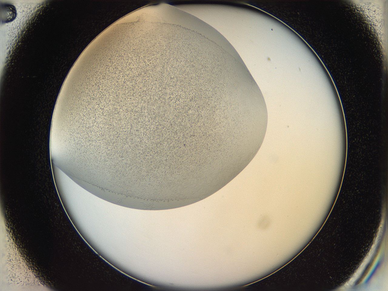 05v6_C2_ImagerDefaults_6.jpg