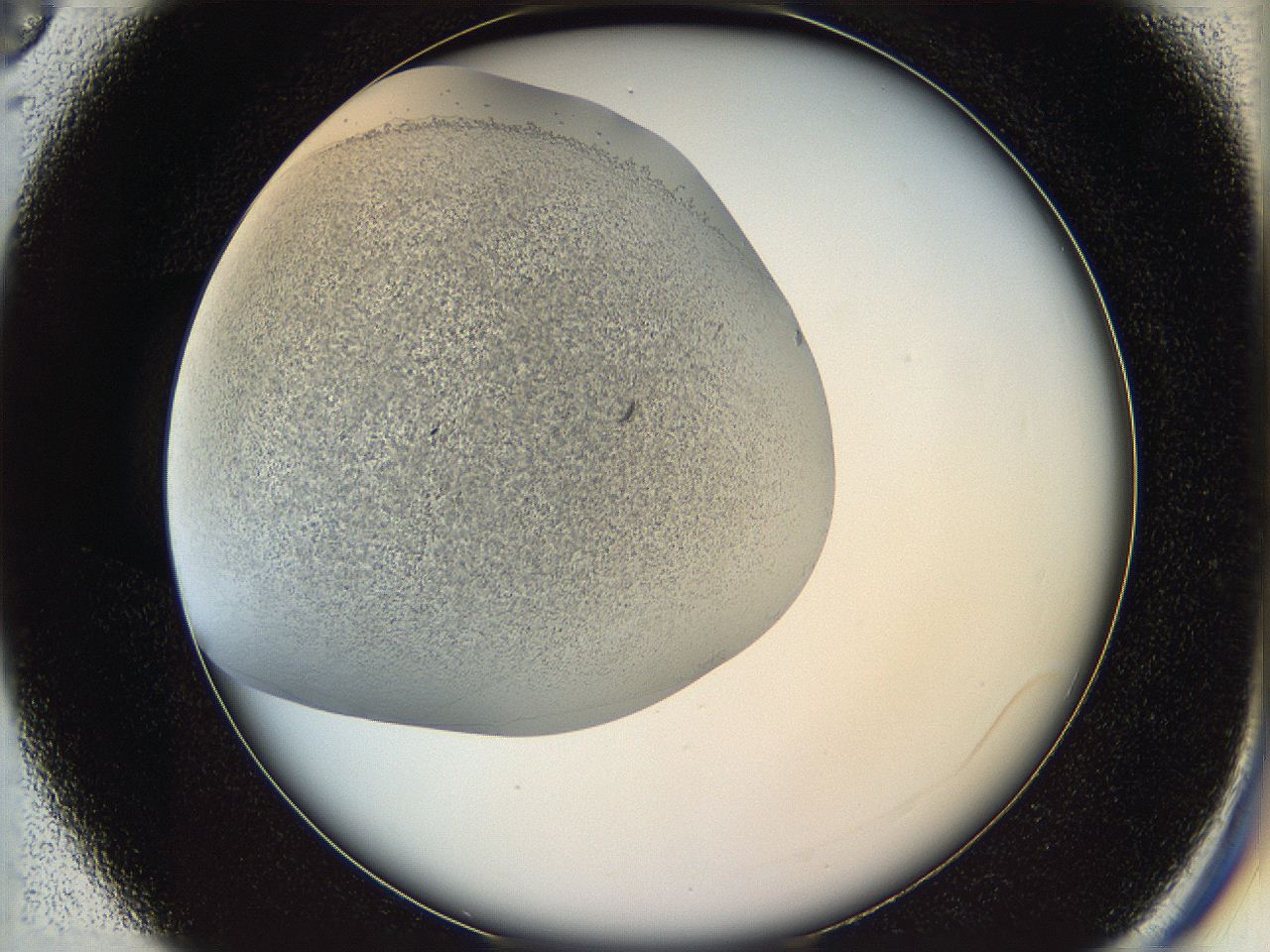 05v6_C3_ImagerDefaults_6.jpg