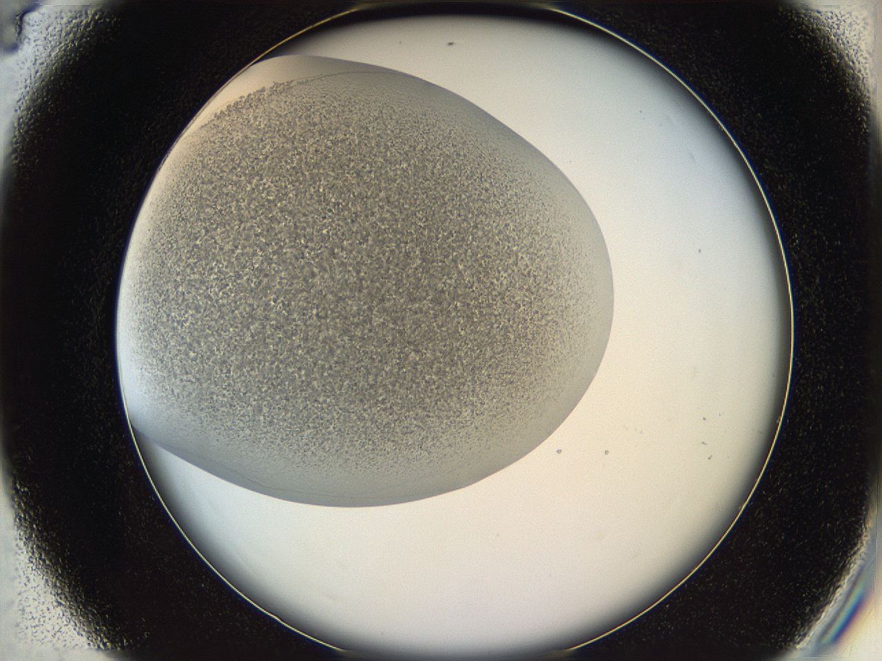 05v6_C4_ImagerDefaults_6.jpg