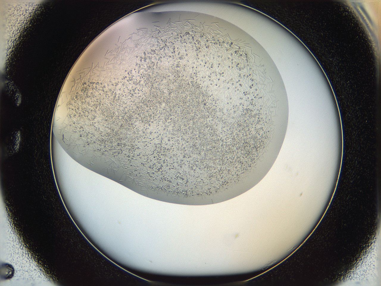 05v6_C5_ImagerDefaults_8.jpg