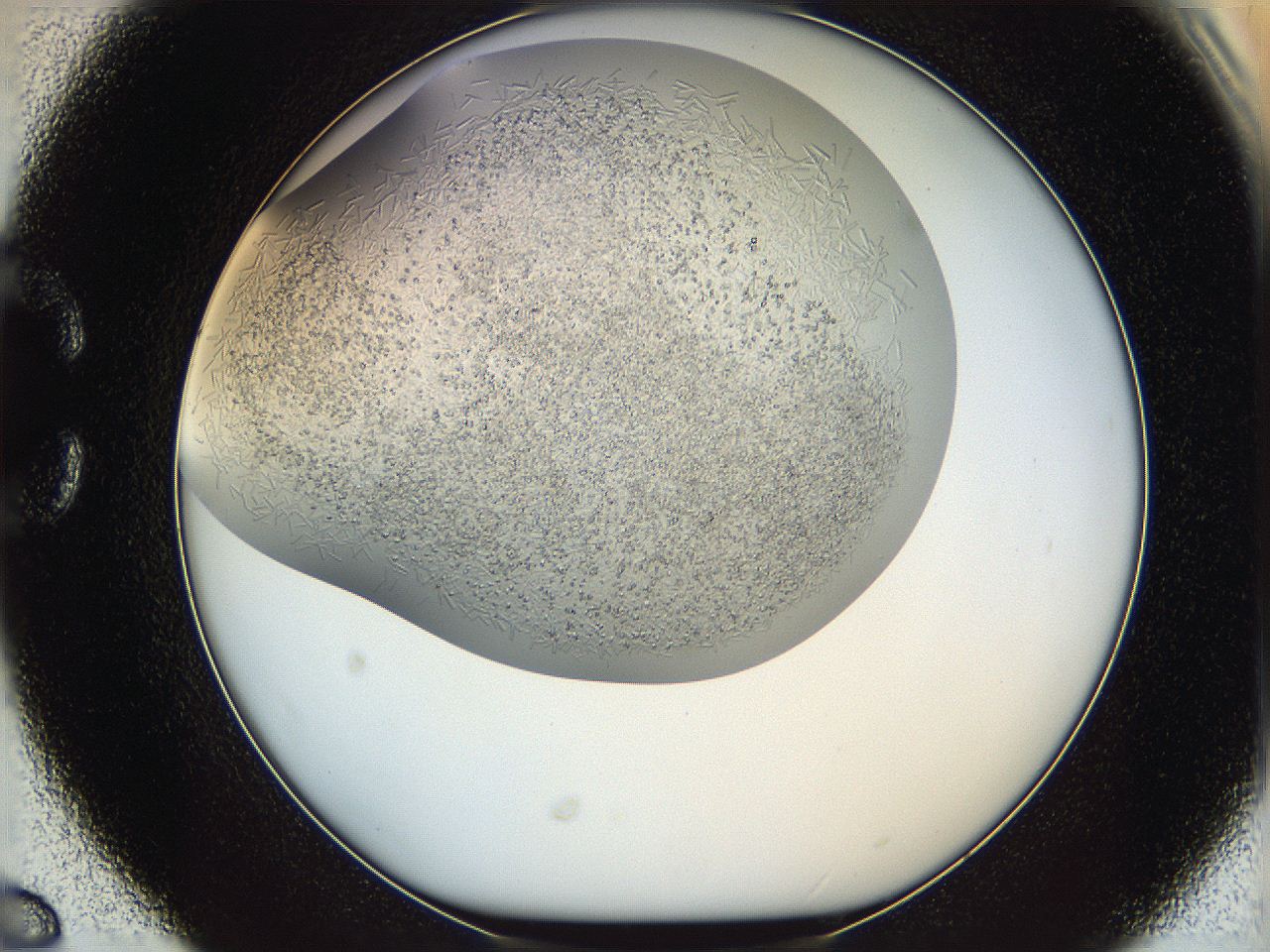 05v6_C6_ImagerDefaults_8.jpg