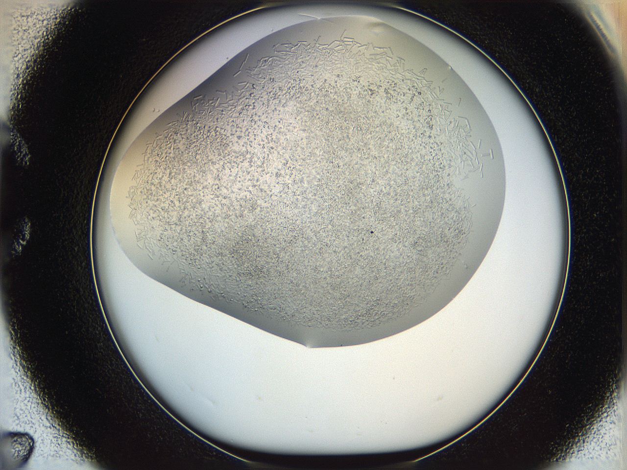 05v6_C7_ImagerDefaults_8.jpg
