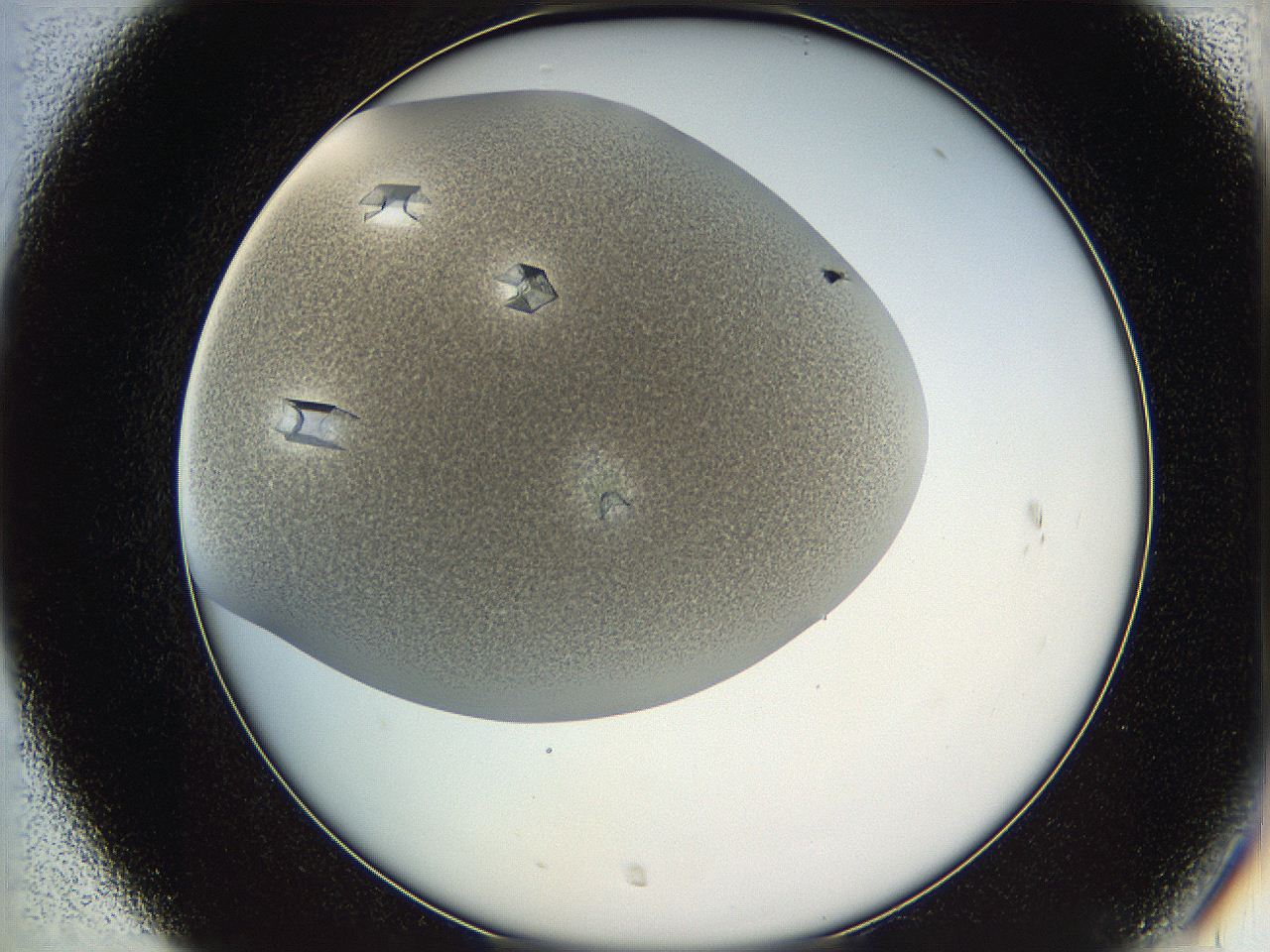 05v6_C7_ImagerDefaults_9.jpg