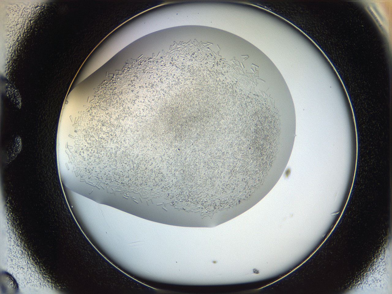05v6_C8_ImagerDefaults_7.jpg