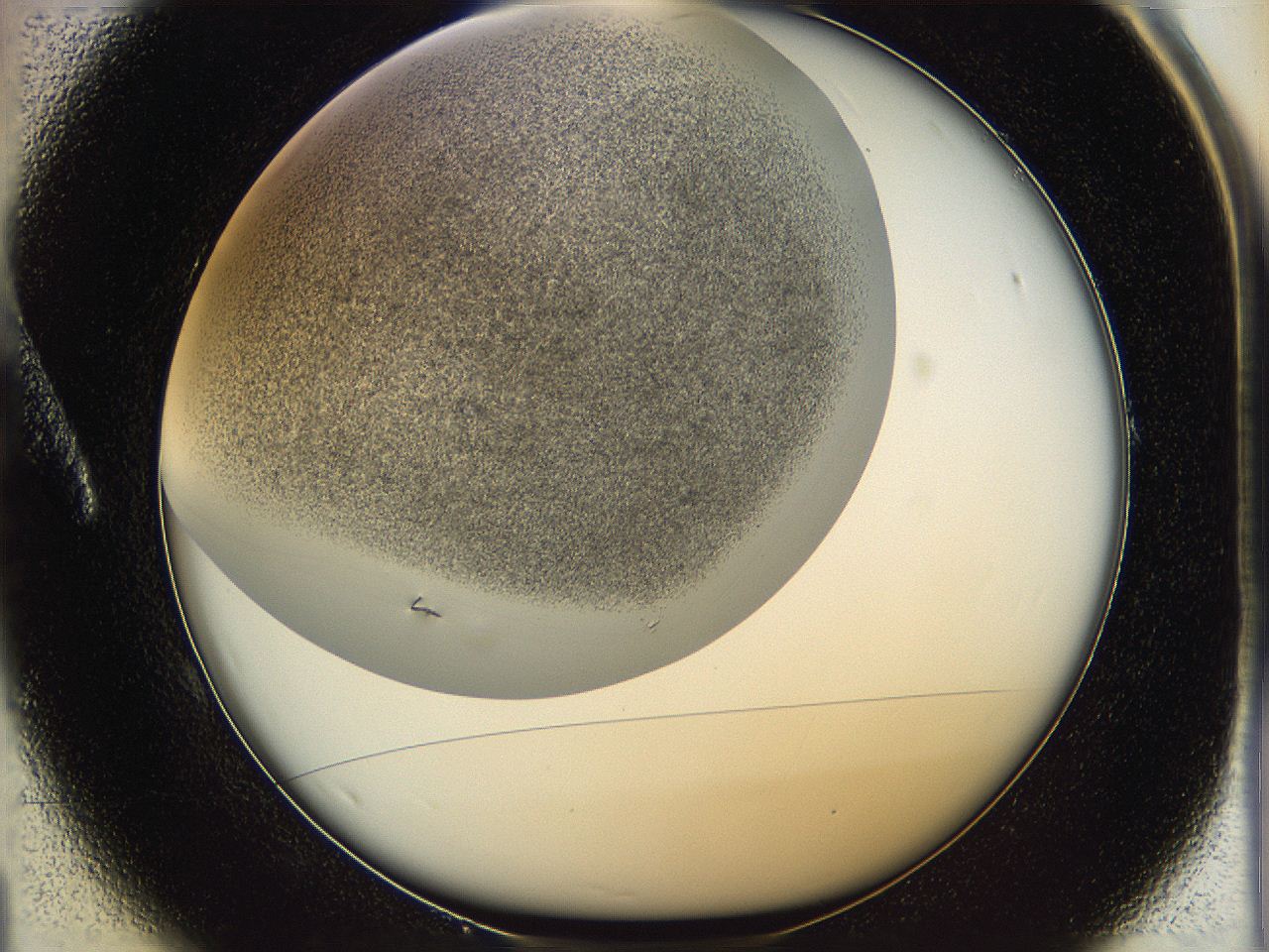 05v6_A1_ImagerDefaults_6.jpg