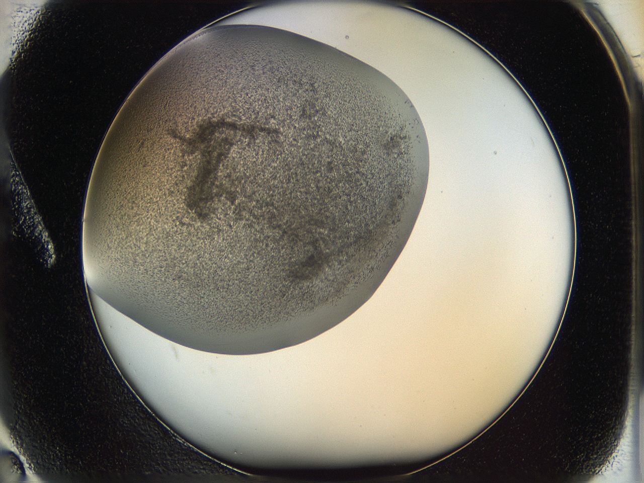 05v6_A2_ImagerDefaults_6.jpg