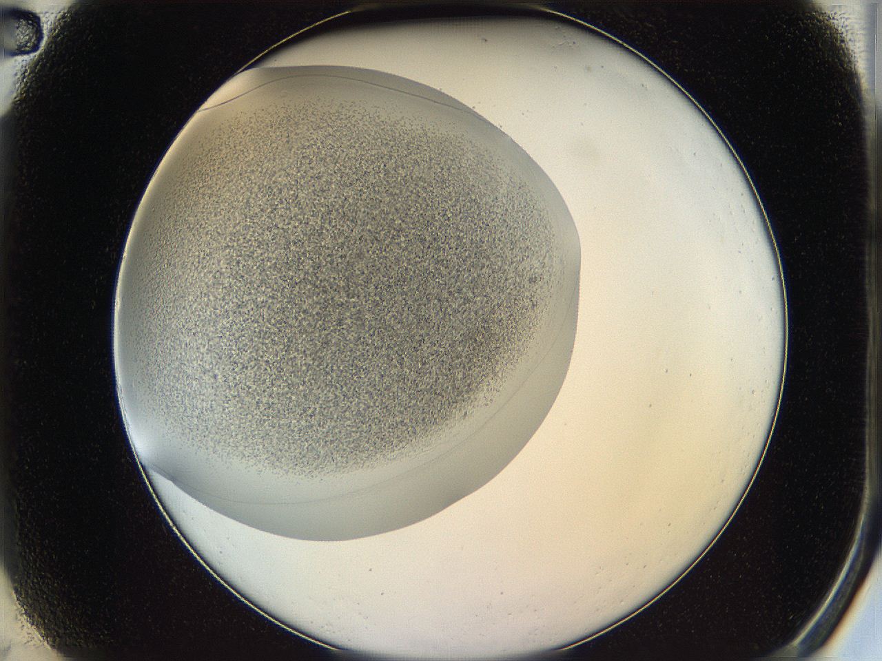 05v6_A2_ImagerDefaults_8.jpg