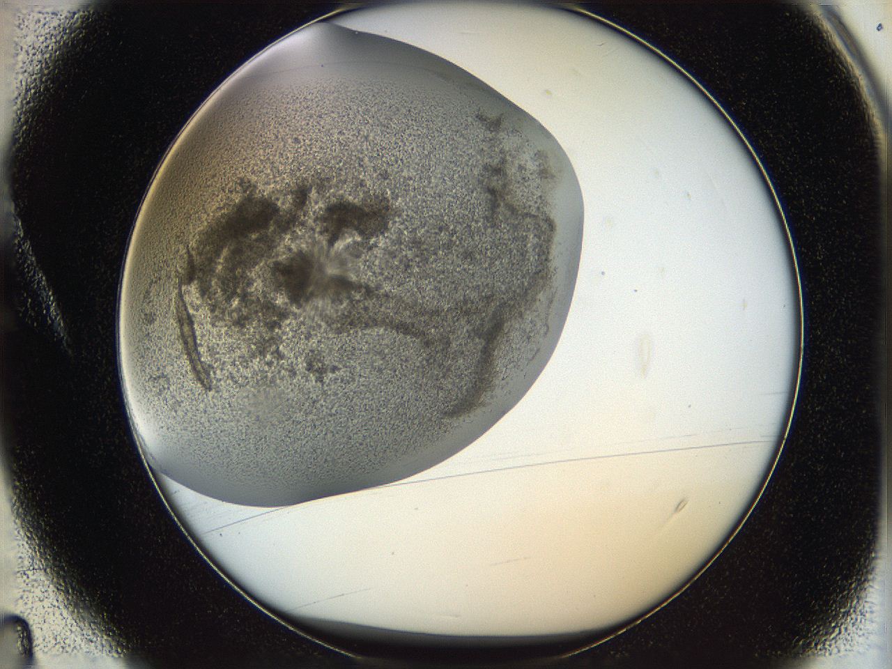 05v6_A4_ImagerDefaults_6.jpg