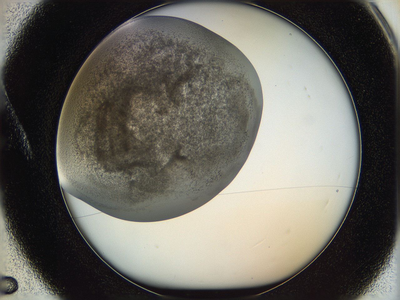 05v6_A5_ImagerDefaults_6.jpg