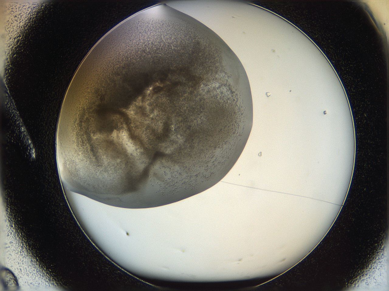 05v6_A8_ImagerDefaults_7.jpg