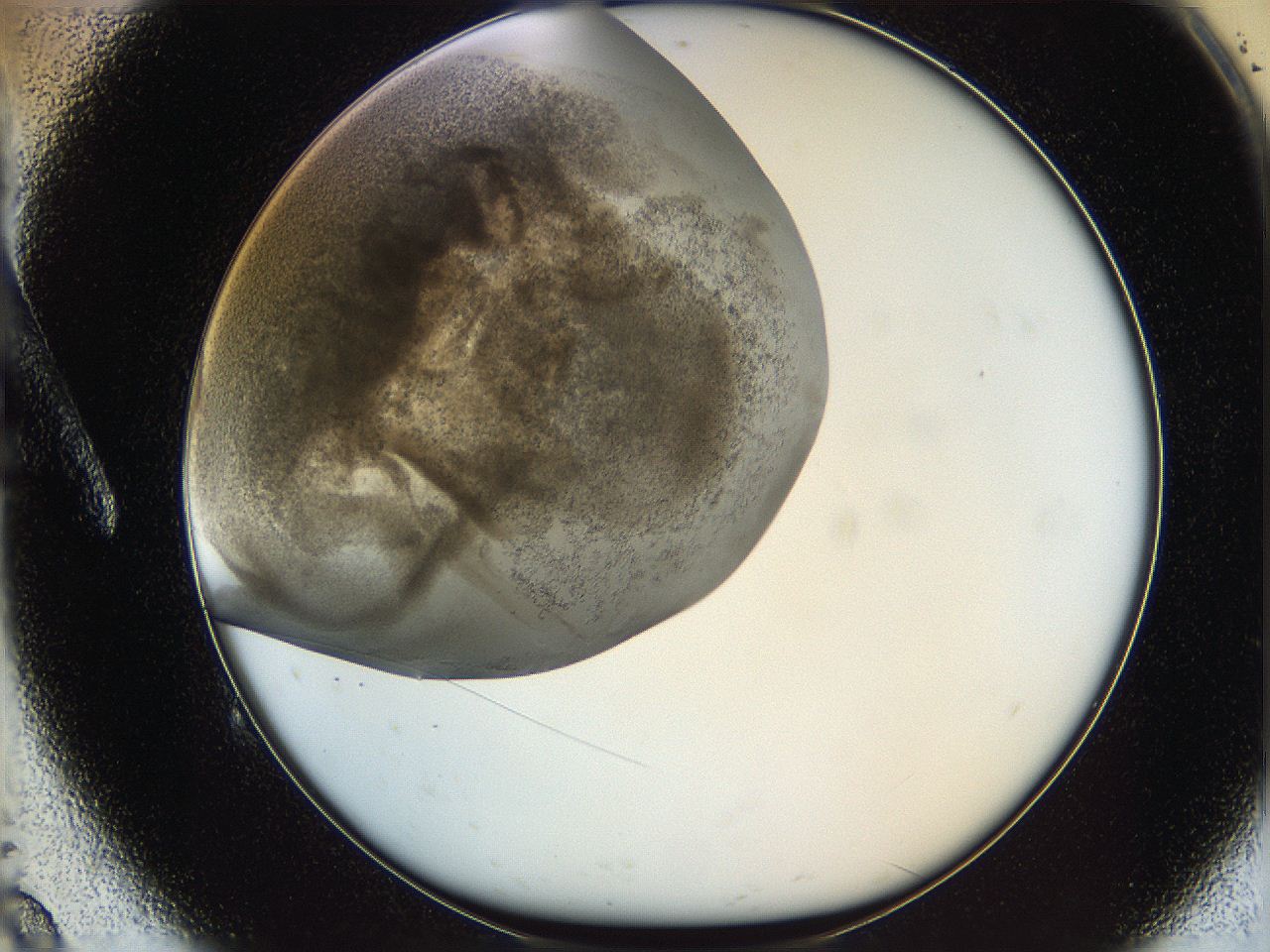 05v6_A9_ImagerDefaults_7.jpg