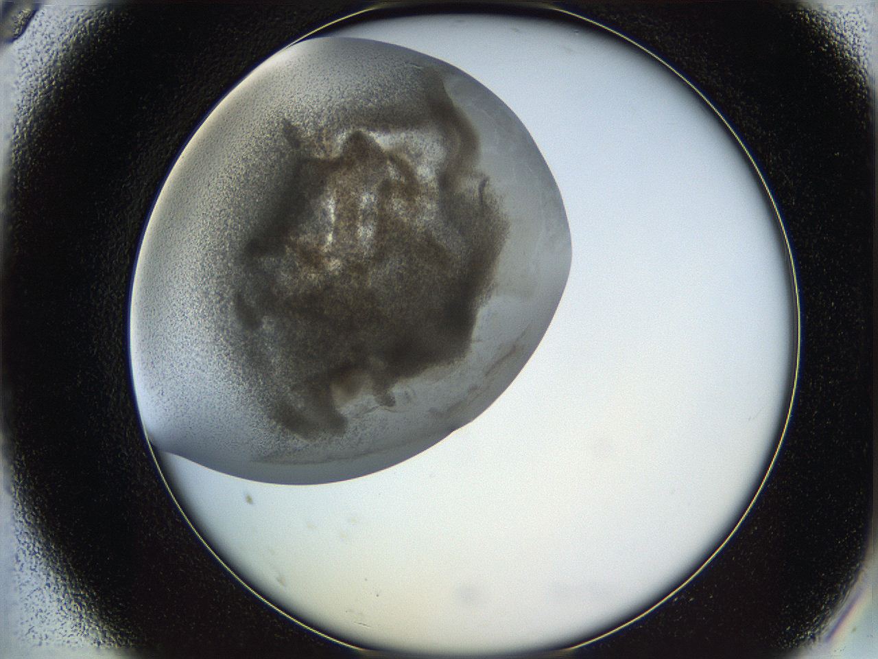 05v6_A9_ImagerDefaults_6.jpg