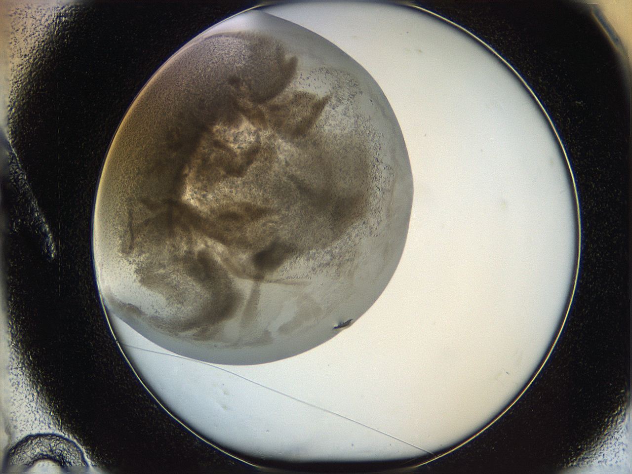 05v6_A10_ImagerDefaults_7.jpg