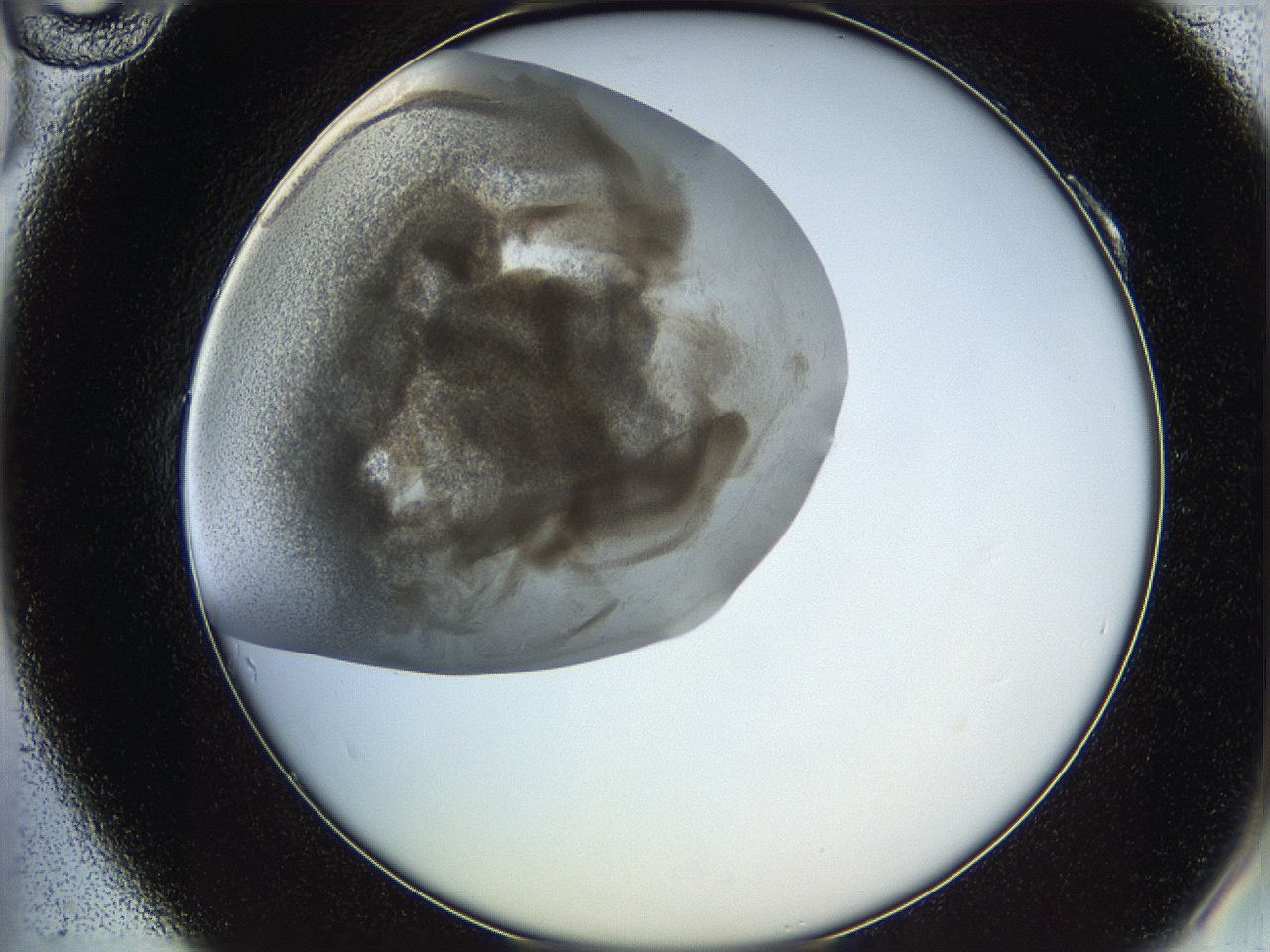 05v6_A10_ImagerDefaults_6.jpg