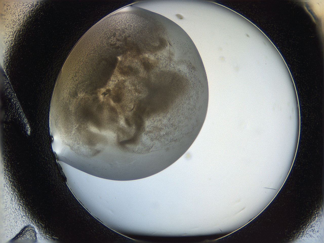 05v6_A11_ImagerDefaults_7.jpg