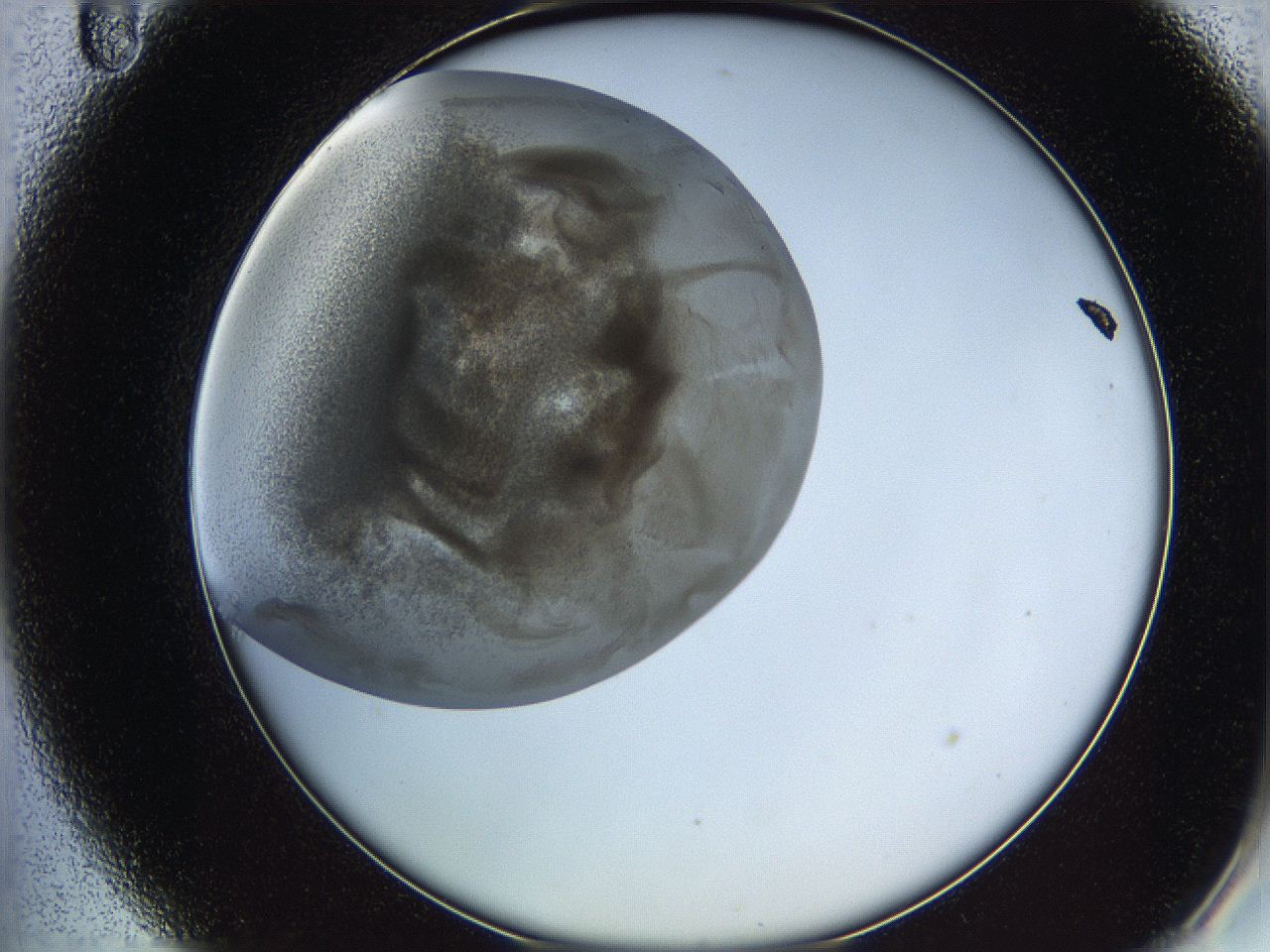 05v6_A11_ImagerDefaults_6.jpg
