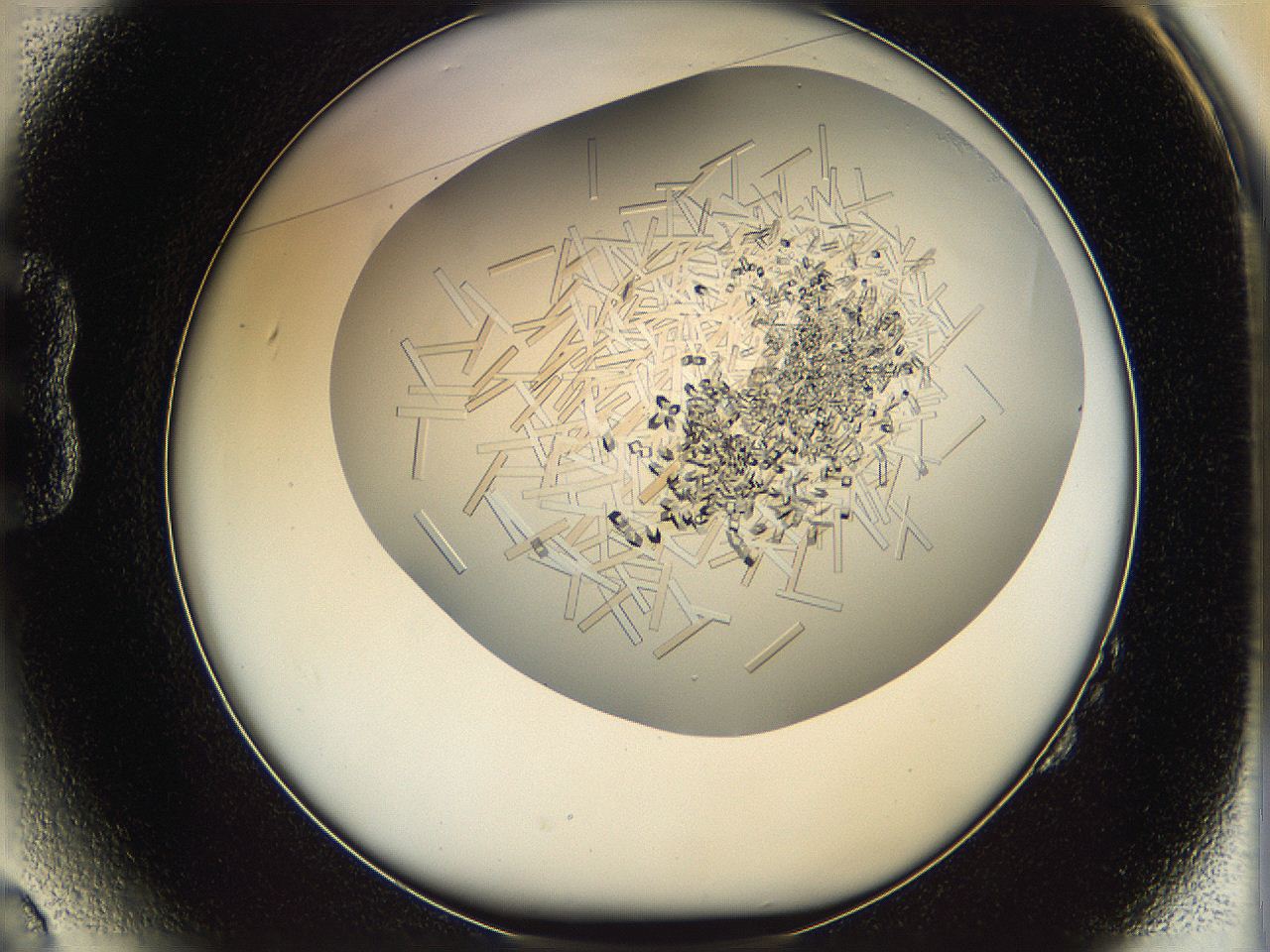 05v6_B2_ImagerDefaults_9.jpg