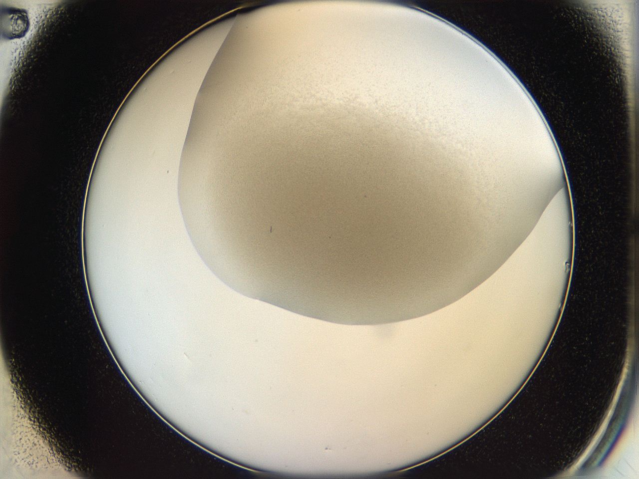 05v6_B2_ImagerDefaults_0.jpg